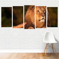 Quadro Animais - Felinos Leão Deitado 155X65 Em Tela Canvas Quadro Animais - Felinos Leão Deitado 155X65 Em Tela Canvas