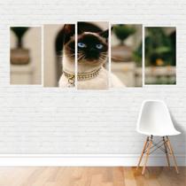 Quadro Animais Gato Siamês Felino Coleira Cat Doméstico Canvas