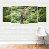 Quadro Animais Girafa Floresta Girafídeo Selva Canvas