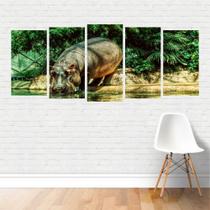 Quadro Animais Hipopótamo Comum Mamífero Semiaquático Canvas