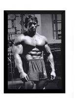 Quadro Arnold Schwarzenegger Musculação Poster Moldurado