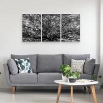 Quadro Árvore Da Copa Grande Em Preto E Branco Mosaico Quadro Árvore Da Copa Grande Em Preto E Branco Mosaico
