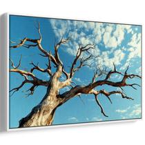 Quadro Árvore Renasce Sob o Céu Infinito