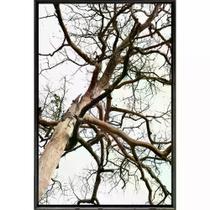 Quadro Árvore Seca 120x80 - Casa da Moldura
