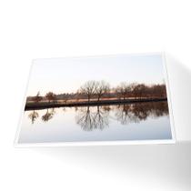 Quadro Árvores Secas Canvas Sem Vidro Quadro Árvores Secas Canvas Sem Vidro