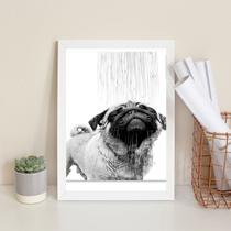 Quadro Banheiro - Pug Tomando Banho 24x18cm - com vidro