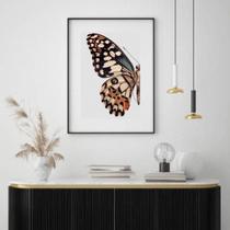 Quadro Borboleta - Asa Colorida - 60X48Cm Quadro Borboleta - Asa Colorida - 60X48Cm