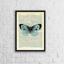 Quadro Borboleta Vintage Azul 33X24Cm Com Vidro - Branca