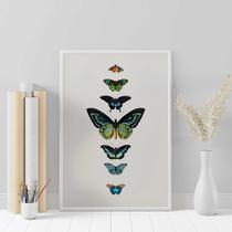 Quadro Borboletas - Tela Canvas com Moldura Flutuante em Vários Tamanhos - Artfine Quadro Borboletas - Tela Canvas com Moldura Flutuante em Vários Tamanhos - Artfine