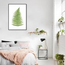 Quadro Botânica Aspidium Angulare 43x30 Filete Preto Moldura Filete, Preta