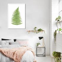 Quadro Botânica Aspidium Angulare 43x30 Sem Moldura Sem Moldura