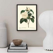 Quadro Botânica Flor Camélia 45X34Cm - Com Vidro
