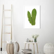 Quadro Botânica Polypodium Musaefolium 43x30 Caixa Branco Moldura Caixa, Branca