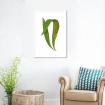 Quadro Botânica Polypodium Nitidum 60x43 Caixa Branco Moldura Caixa, Branca