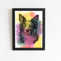 Quadro Cachorro Cão Border Collie Aquarela Moldura 60x40cm
