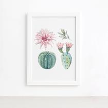 Quadro Cacto Floridos Moldura Branca 22x32cm Quadro Cacto Floridos Moldura Branca 22x32cm