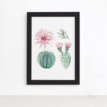 Quadro Cacto Floridos Moldura Preta 22x32cm Quadro Cacto Floridos Moldura Preta 22x32cm