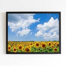 Quadro Campo de Girassóis 45x34cm - com vidro Quadro Campo de Girassóis 45x34cm - com vidro