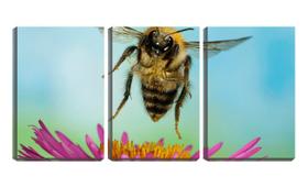 Quadro canvas 30x66 abelha saindo da flor closeup