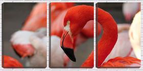 Quadro canvas 30x66 bico de flamingo