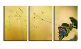 Quadro canvas 30x66 borboleta solitária na folha