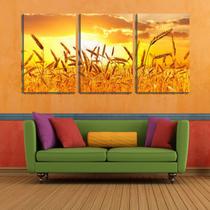 Quadro canvas 30x66 campo de arroz sob sol