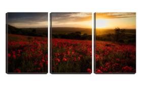 Quadro canvas 30x66 campo de flores sob pôr do sol