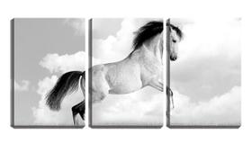 Quadro canvas 30x66 cavalo branco crinas negras pb