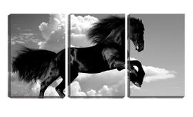 Quadro canvas 30x66 cavalo negro céu pb