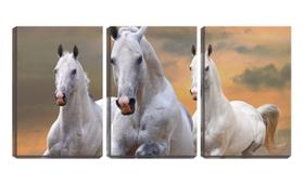 Quadro canvas 30x66 cavalos brancos close up