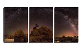 Quadro canvas 30x66 céu estrelado no deserto - Crie Life