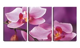 Quadro canvas 30x66 flor no galho fundo violeta