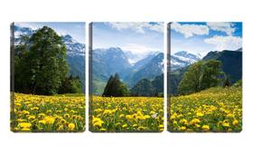 Quadro canvas 30x66 flores amarelas na montanha