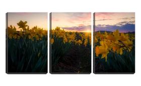 Quadro canvas 30x66 flores amarelas sol poente