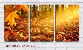 Quadro canvas 30x66 folhas secas de outono no chão