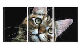 Quadro canvas 30x66 gatinho de orelhas compridas arte