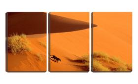 Quadro canvas 30x66 leopardo na areia do deserto - Crie Life
