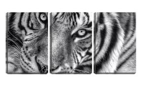 Quadro canvas 30x66 olhos abertos de tigre pb