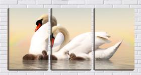 Quadro canvas 30x66 os cisnes e seus filhotes no lago