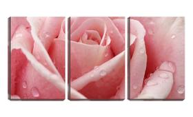 Quadro canvas 30x66 pingos na rosa closeup