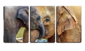 Quadro canvas 30x66 trombas de elefantes juntas