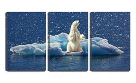 Quadro canvas 30x66 urso polar no bloco de gelo