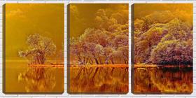 Quadro canvas 30x66 vegetação sobre o reflexo do lago