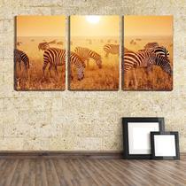 Quadro canvas 30x66 zebras sob sol na savana