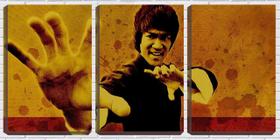 Quadro canvas 45x96 arte bruce lee mãos abertas