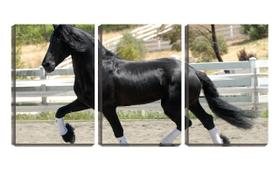 Quadro canvas 45x96 cavalo negro no curral - Crie Life