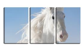 Quadro canvas 45x96 crinas de cavalo branco
