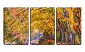 Quadro canvas 45x96 galhos de outono sobre rio