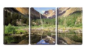 Quadro canvas 45x96 galhos de pinheiros na água