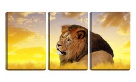 Quadro canvas 45x96 leão sob nuvens vintage na savana
